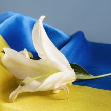 Estijos teismas skyrė viešųjų darbų piliečiui, išniekinusiam Ukrainos vėliavą