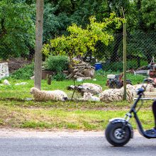 Dieveniškėse – įtartina tyla, Rūdninkuose – garsus migrantų šurmulys ir nepasitenkinimas