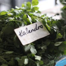 Žaliakalnio turgaus prekeivė: net ir prieš šventes niekas neperka žąsų ir ančių