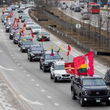 Kovo 11-osios tautininkų eitynes pakeitė „važiuotynės“: Vilniuje susirinko apie 200 automobilių