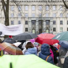 Protestuotojai reikalavo atšaukti Trakų rajono švietimo įstaigų pertvarką