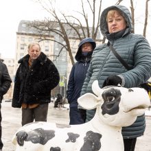 Pieno supirkimo kainomis nepatenkinti ūkininkai Vyriausybei grasina masiniais protestais