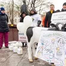 Pieno supirkimo kainomis nepatenkinti ūkininkai Vyriausybei grasina masiniais protestais