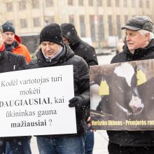 Pieno supirkimo kainomis nepatenkinti ūkininkai Vyriausybei grasina masiniais protestais