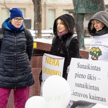 Pieno supirkimo kainomis nepatenkinti ūkininkai Vyriausybei grasina masiniais protestais