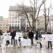 Pieno supirkimo kainomis nepatenkinti ūkininkai Vyriausybei grasina masiniais protestais