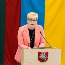 Premjerė: pasisakydama apie atsistatydinimą leidau sau šiek tiek per daug