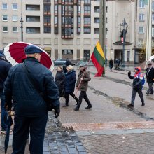 Mitinge dėl NT mokesčio – keli tūkstančiai žmonių: plešia kaip Naujininkų narkomanas