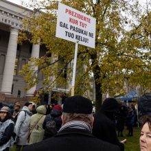 Dėl NT mokesčio protestavo daugiau tautiečių nei leista: žmonės nebuvo ramūs