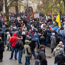 Mitinge dėl NT mokesčio – keli tūkstančiai žmonių: plešia kaip Naujininkų narkomanas