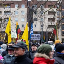 Mitinge dėl NT mokesčio – keli tūkstančiai žmonių: plešia kaip Naujininkų narkomanas