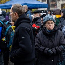 Tūkstantinis mitingas dėl NT mokesčio: uždaromas vienas iš Seimo įėjimų