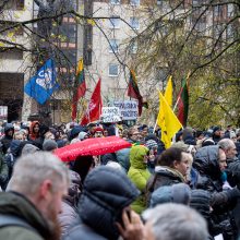 Mitinge dėl NT mokesčio – keli tūkstančiai žmonių: plešia kaip Naujininkų narkomanas