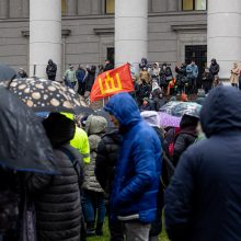 Mitinge dėl NT mokesčio – keli tūkstančiai žmonių: plešia kaip Naujininkų narkomanas