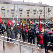 Mitinge dėl NT mokesčio – keli tūkstančiai žmonių: plešia kaip Naujininkų narkomanas