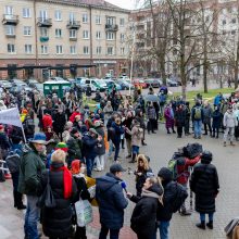 Prie Seimo – mitingas prieš miškų naikinimą: „Dievas sunaikins niokojančius žemę“