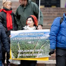 Prie Seimo – mitingas prieš miškų naikinimą: „Dievas sunaikins niokojančius žemę“