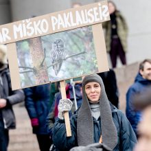 Prie Seimo – mitingas prieš miškų naikinimą: „Dievas sunaikins niokojančius žemę“