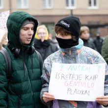 Prie Seimo – mitingas prieš miškų naikinimą: „Dievas sunaikins niokojančius žemę“