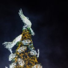 Kaune įspūdingai įžiebta Kalėdų eglė!