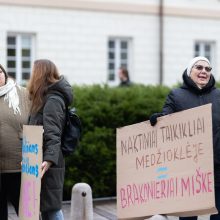 Daukanto aikštėje – demonstracija dėl naktinių taikiklių įteisinimo: prašo vetuoti Seimo sprendimą