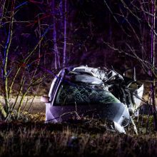 Trakų rajone į medį rėžėsi nuo policijos sprukęs BMW: žuvo 19-metis vairuotojas