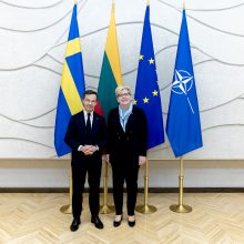Su Švedijos kolega susitikusi I. Šimonytė ragina stiprinti gynybą, didinti investicijas