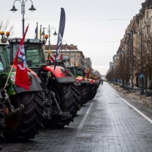 Dėl daugiamečių pievų protestuojantys ūkininkai baiminasi finansinių nuostolių: ko reikalauja?