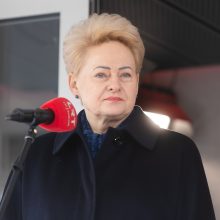 D. Grybauskaitė: turime taikaus gyvenimo biudžetą daryti gynybos biudžetu