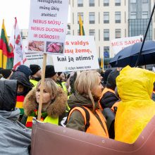 Po K. Navicko pasisakymo žemdirbiai ėmė skanduoti: „Gėda! Gėda!“