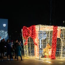 Jonavoje įžiebta žaliaskarė ir eglučių miestelis