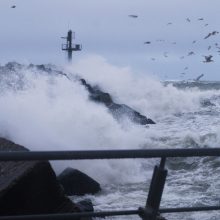 Orai Lietuvoje: įvardijo, kur užfiksuoti stipriausi vėjo gūsiai