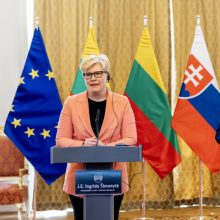 I. Šimonytė su Slovakijos premjeru aptarė paramą Ukrainai, NATO susitikimą Vilniuje