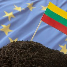 Nidoje prasideda forumas, dalyviai diskutuos apie Europos stiprybę ir vienybę