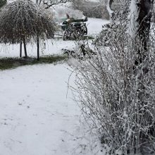 Kai kur Lietuvoje sugrįžo žiema: įvardijo, kur prisnigo daugiausia 