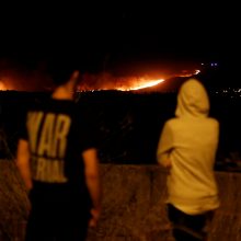 Prie Lisabonos su miško gaisru kovoja per 700 ugniagesių