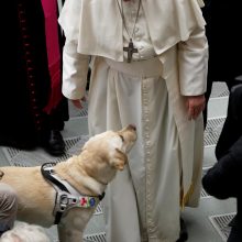 Popiežius: nepaverskime Kalėdų madingu renginiu