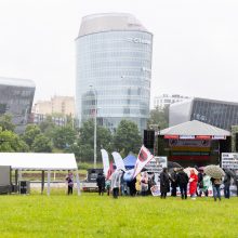 Šeimų sąjūdžio mitinge – ir Seimo nariai: protestuotojai piktinosi valdžios sprendimais