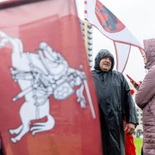 Šeimų sąjūdžio mitinge – ir Seimo nariai: protestuotojai piktinosi valdžios sprendimais