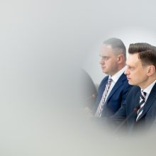 S. Skvernelis: rinkimų rezultatai – geri, bet galėjo būti ir geresni