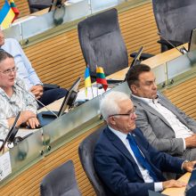 Seimo vadovė: opozicijos veiksmai dėl R. Žemaitaičio apkaltos parodė, kad ribos nutrintos