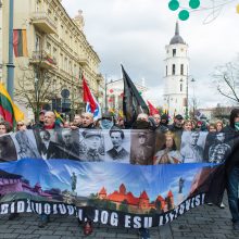 Keli šimtai žmonių žygiavo tautininkų eitynėse: reikalavo apriboti KT galias 