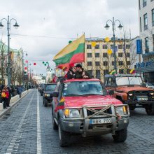 Keli šimtai žmonių žygiavo tautininkų eitynėse: reikalavo apriboti KT galias 