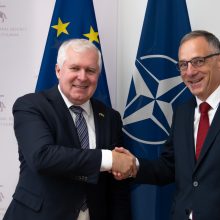A. Anušauskas su Vokietijos ambasadoriumi aptarė brigados, gynybos klausimus