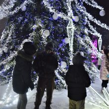 Palangoje pasklido kalėdinė nuotaika – kurortas įžiebė įspūdingą žaliaskarę