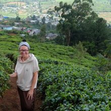 Šri Lanka: apie Liūto uolą ir markizo Karabaso arbatos plantacijas