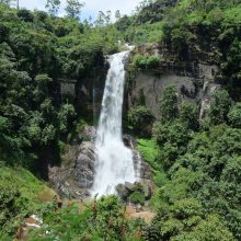 Gaivalas: 109 m aukščio Rambodos krioklys pagal dydį yra 11-as Šri Lankoje ir 729-as visame pasaulyje.