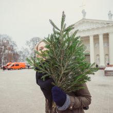 „Parsinešk Kalėdas į savo namus“: eglišakių dalijimo vietų – daugiau nei 50