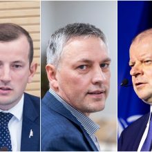 Tarp demokratų kandidatų į EP – V. Sinkevičius, V. Bakas, S. Skvernelis, I. Šiaulienė