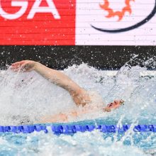 Pasaulio taurės finiše Budapešte – E. Grigaičio ir D. Rapšio startai